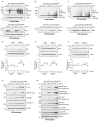 Figure 4—figure supplement 2.