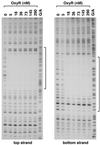 FIG. 8