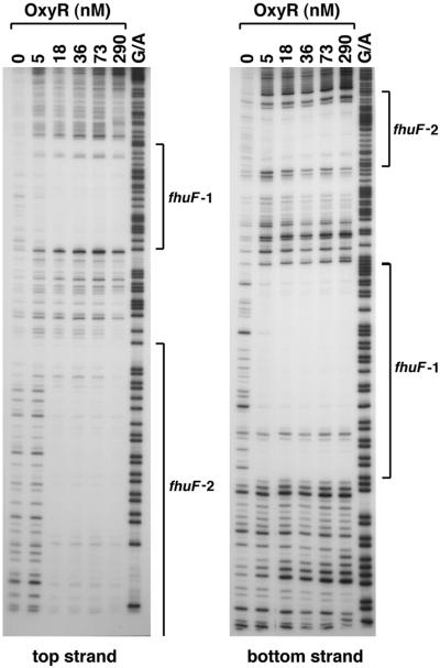 FIG. 5