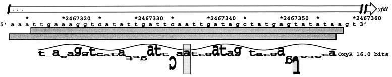 FIG. 7