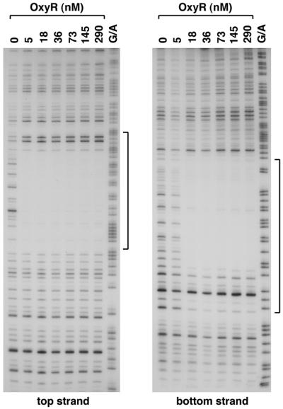 FIG. 8