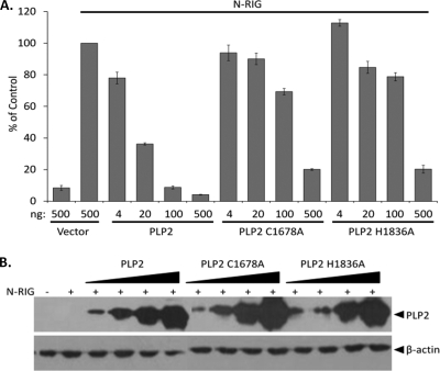 FIG. 6.