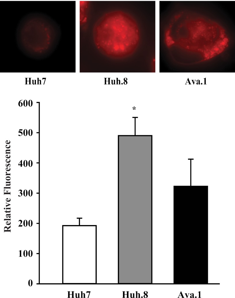 FIGURE 7.