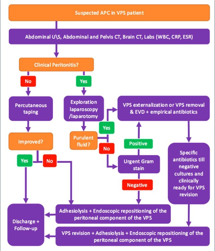 Ventriculoperitoneal shunt-associated abdominal cerebrospinal fluid ...