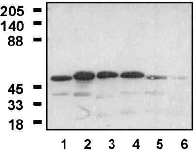 FIG. 9