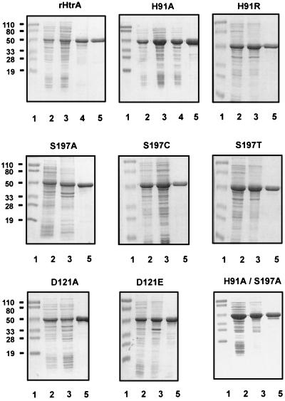 FIG. 7