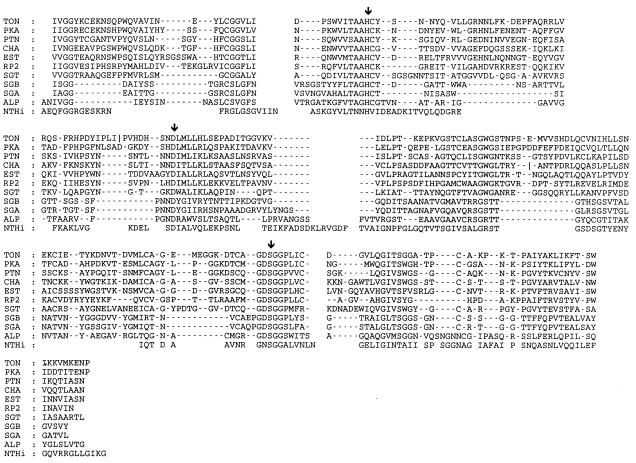 FIG. 6