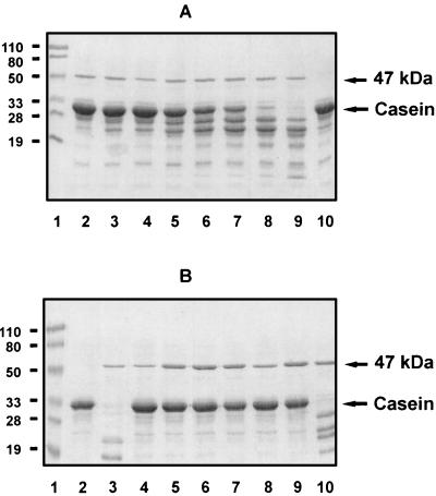 FIG. 8