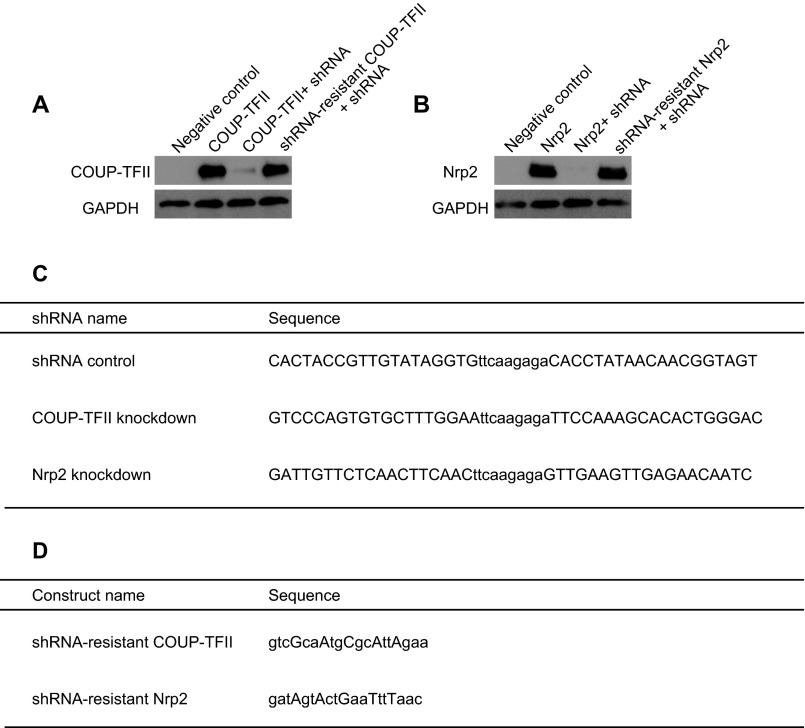 Fig. S5.