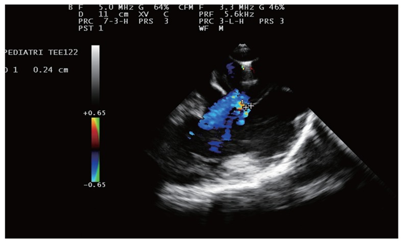 Fig. 2