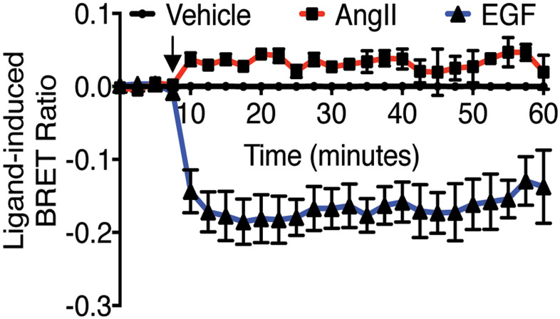 Fig. 7: