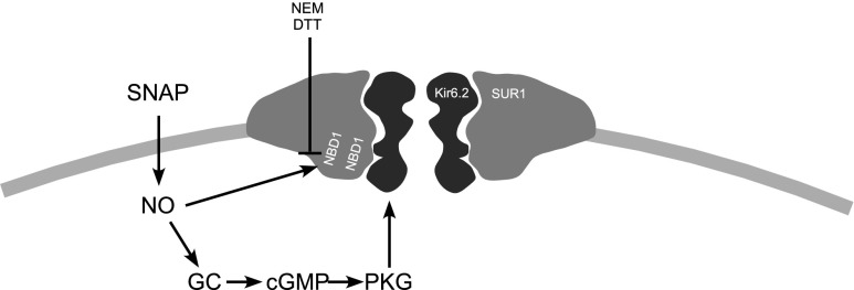 FIG. 6.