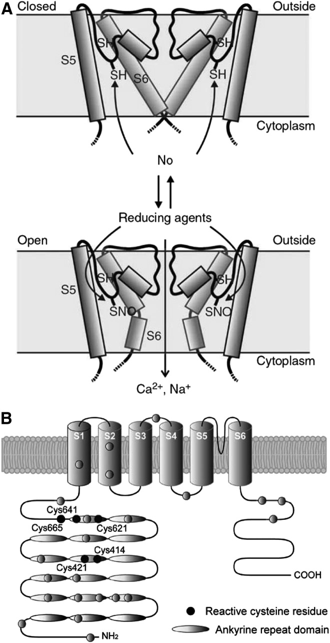 FIG. 7.