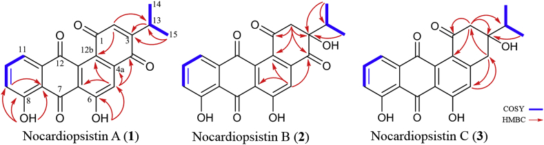 Fig. 2