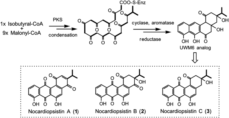 Fig. 4