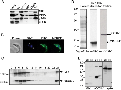 FIG. 6.