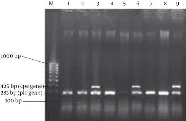Figure 1.