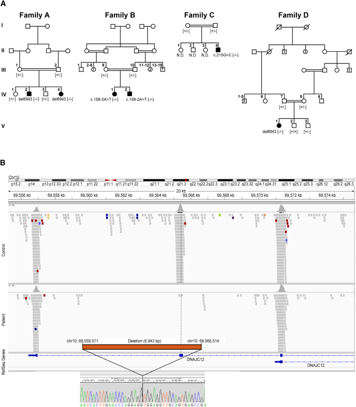 Figure 1