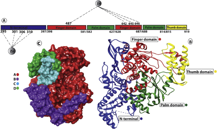 Figure 1