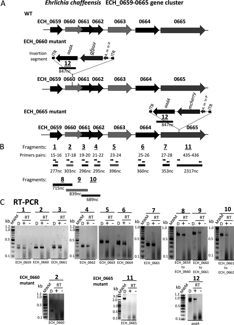 FIG 3