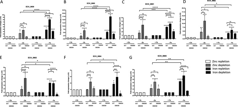 FIG 4