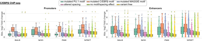 Figure 3—figure supplement 4.