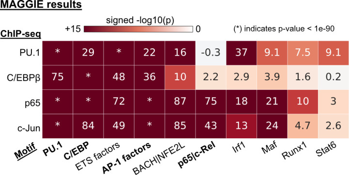 Figure 3—figure supplement 2.