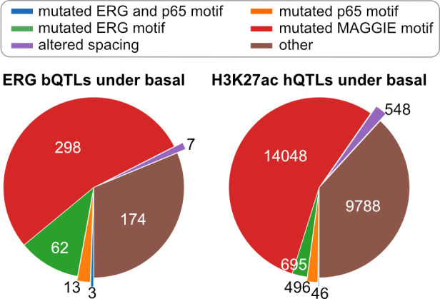 Figure 4—figure supplement 2.