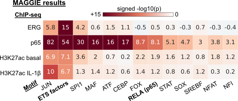 Figure 4—figure supplement 1.