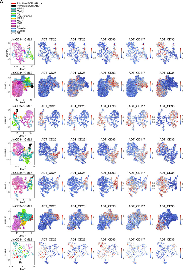 Figure 5—figure supplement 1.