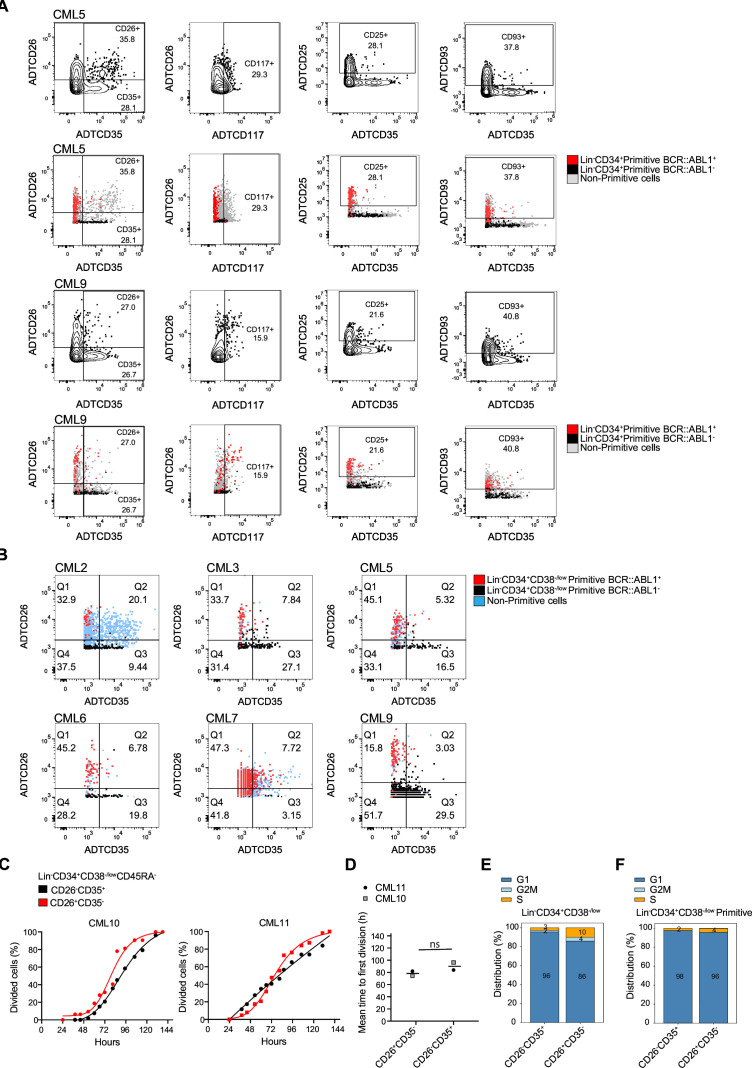 Figure 5—figure supplement 2.