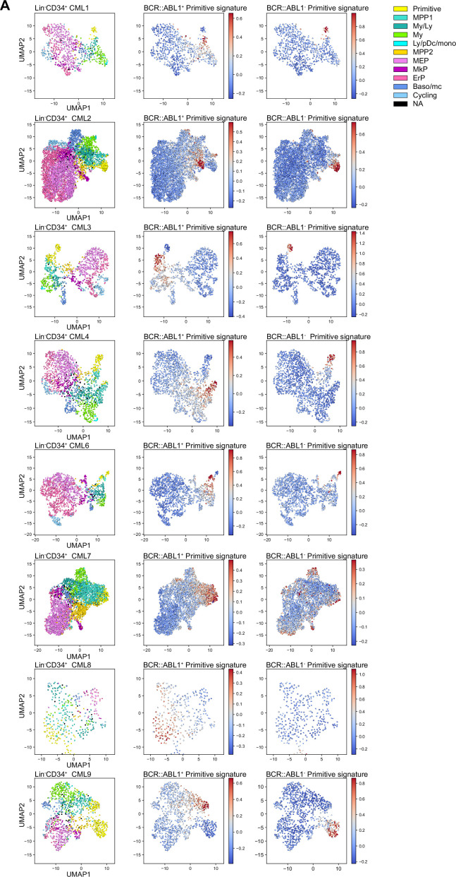 Figure 4—figure supplement 3.