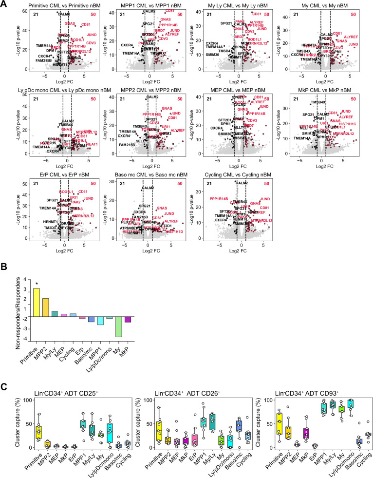 Figure 3—figure supplement 2.