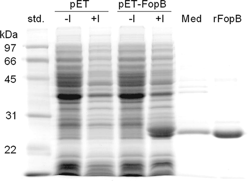 FIG. 5.