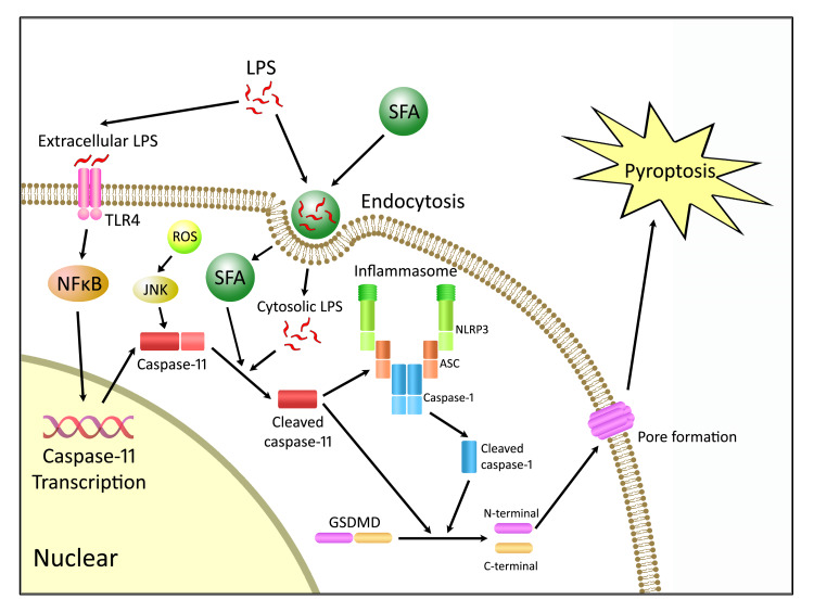 Figure 12