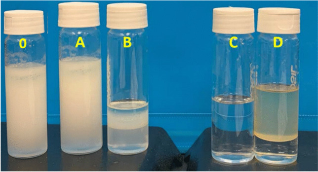 Fig. 13