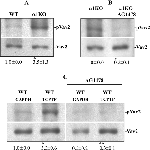 FIG. 10.