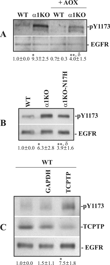 FIG. 7.