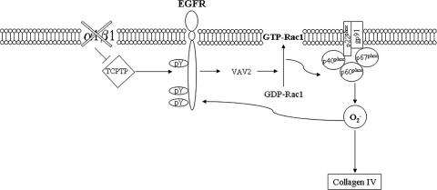 FIG. 11.