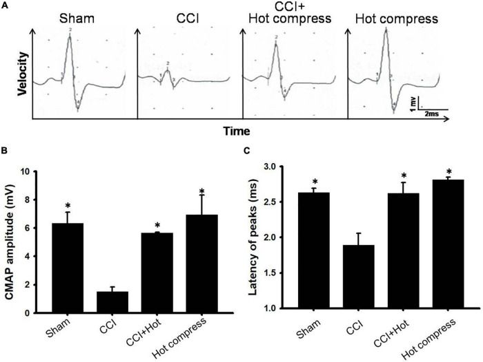 FIGURE 4