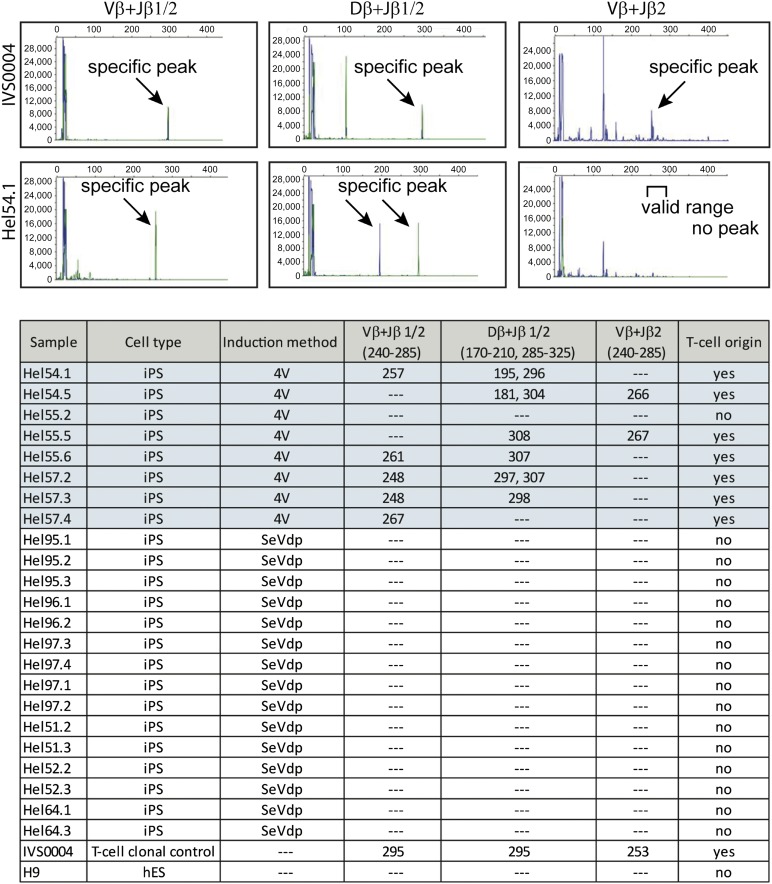 Figure 4.