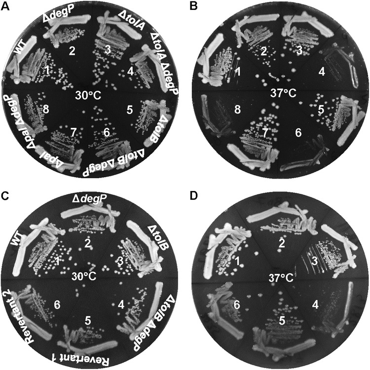 FIG 1