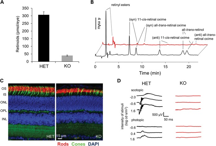 Figure 3.