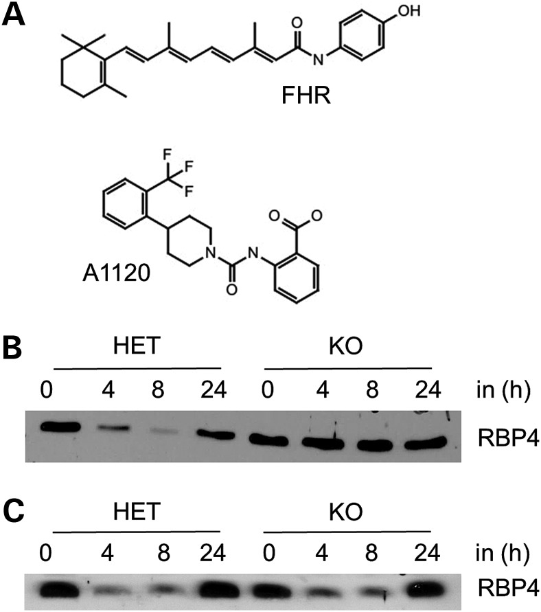 Figure 10.