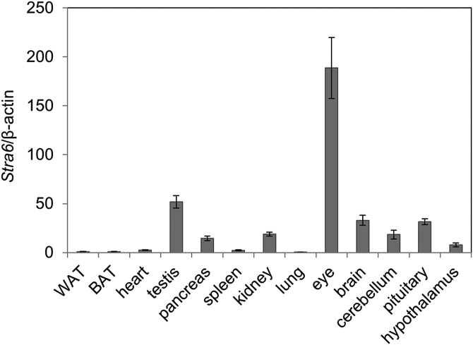 Figure 2.