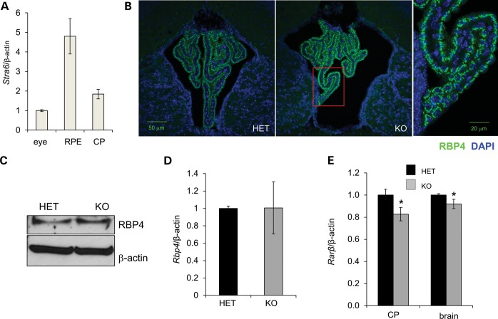 Figure 6.