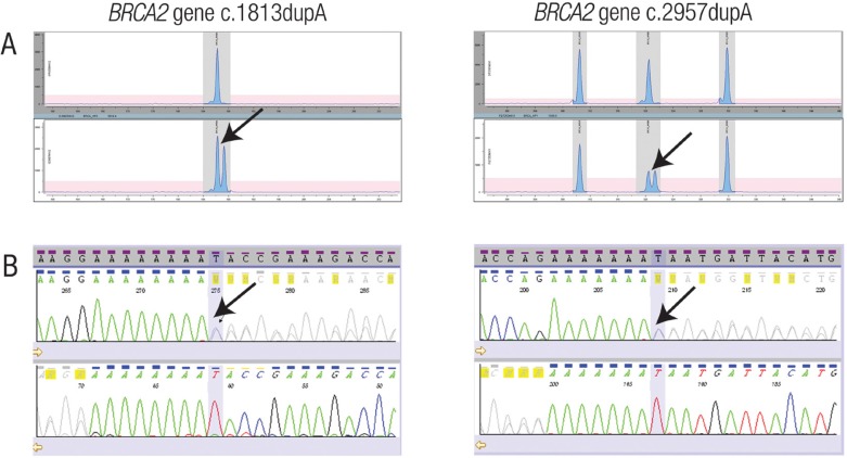 Figure 1 Panel A & B: