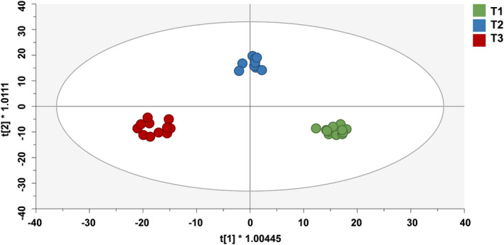 FIGURE 3