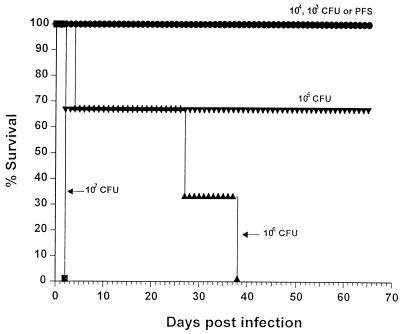 FIG. 1