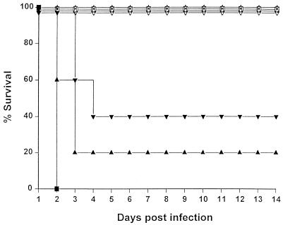 FIG. 7